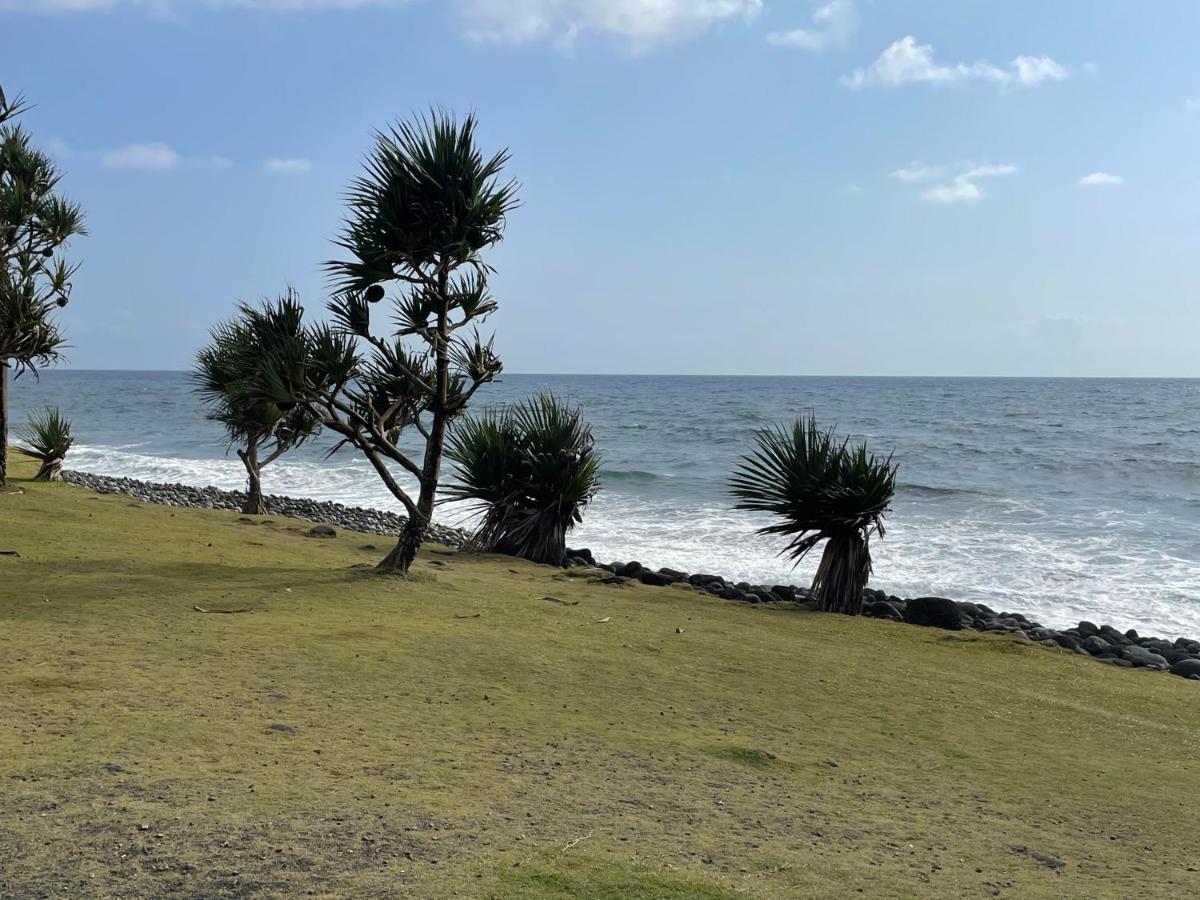 Arbre A Pain Hotel Bras-Panon Bagian luar foto